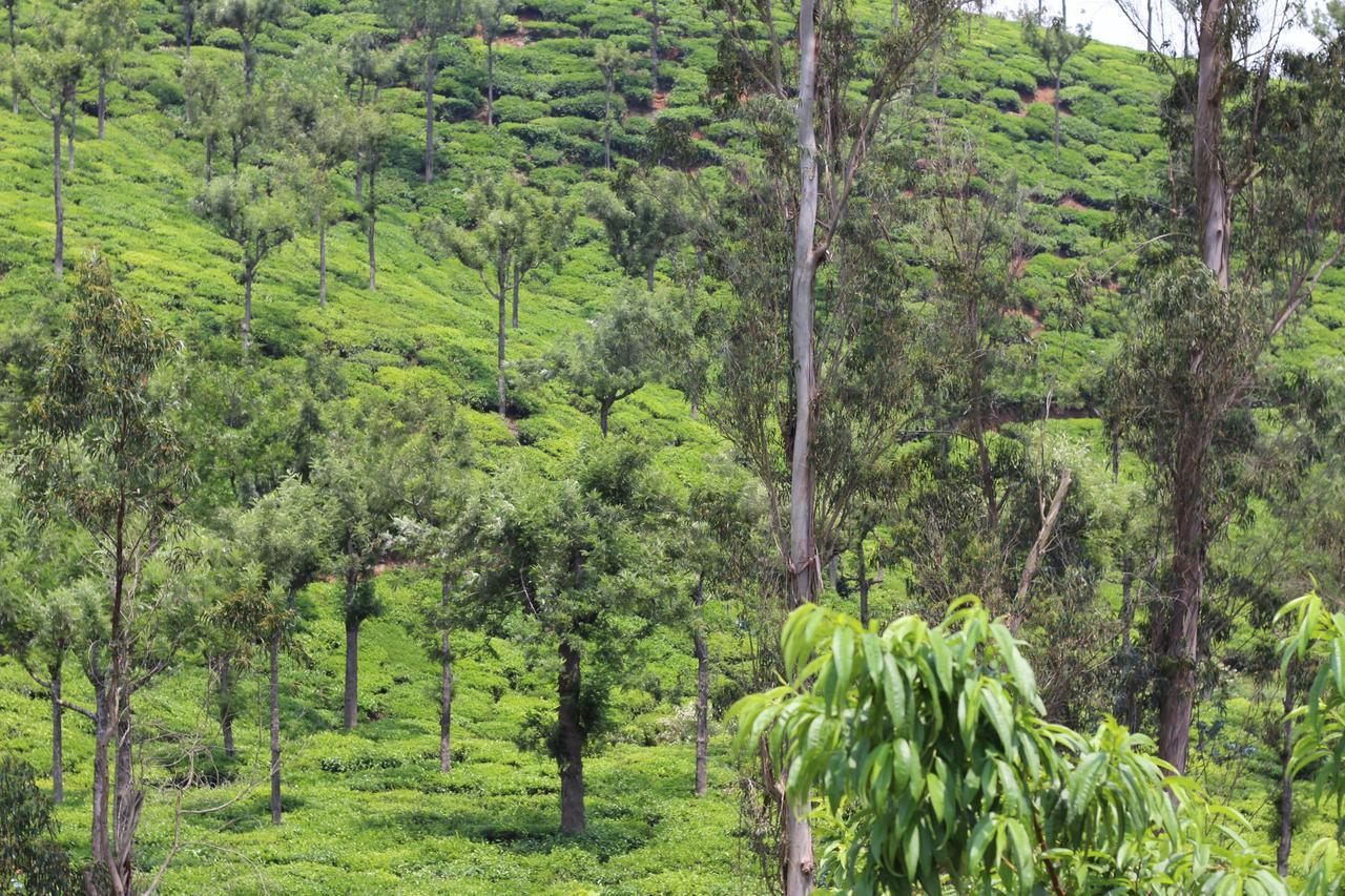 Rustling River Resort Ooty Exterior photo
