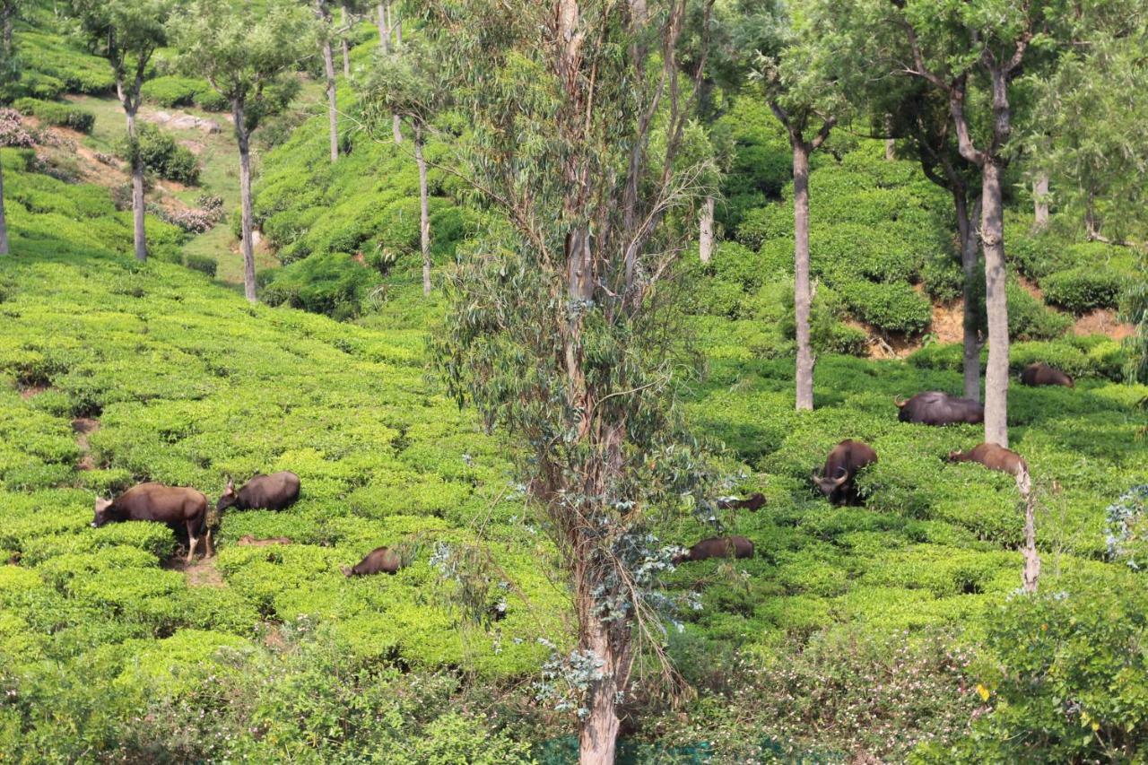 Rustling River Resort Ooty Exterior photo